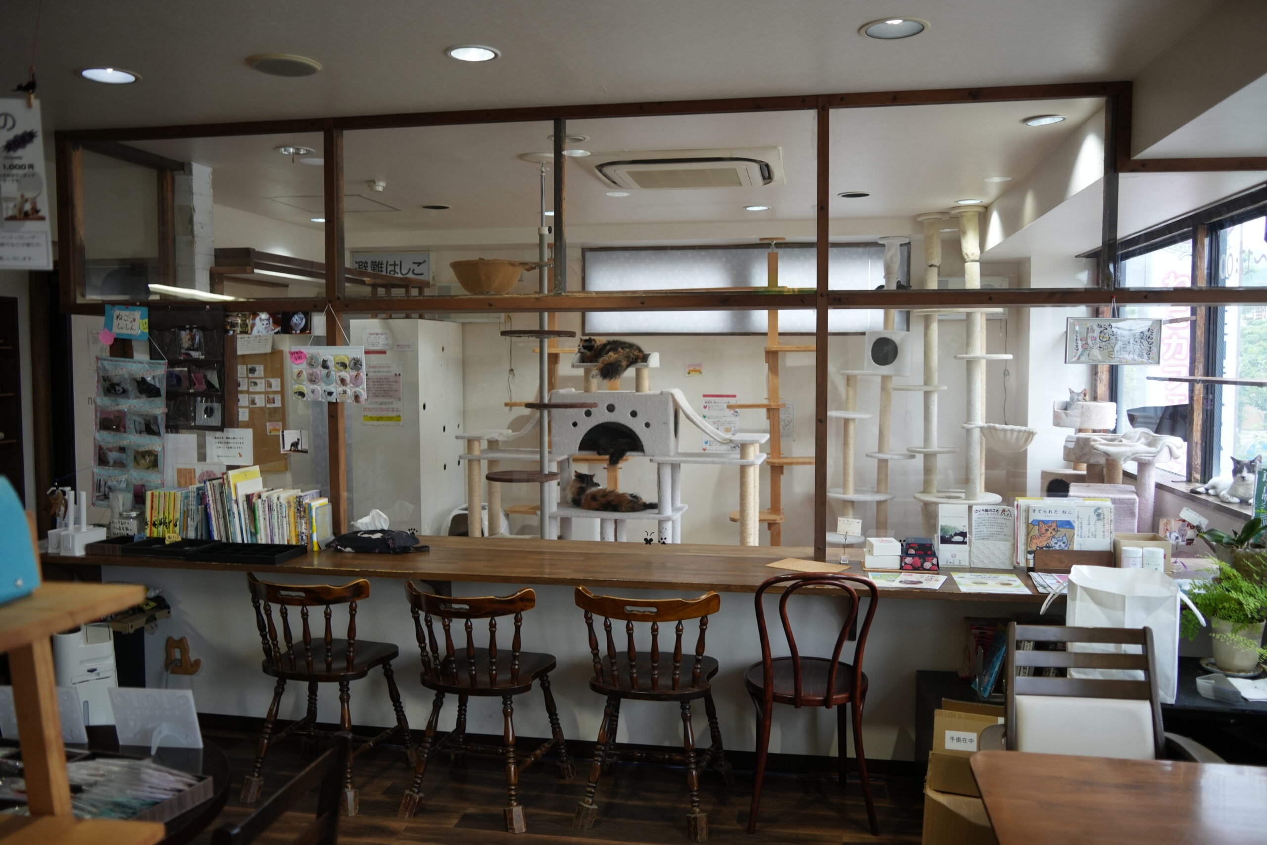 cafe3