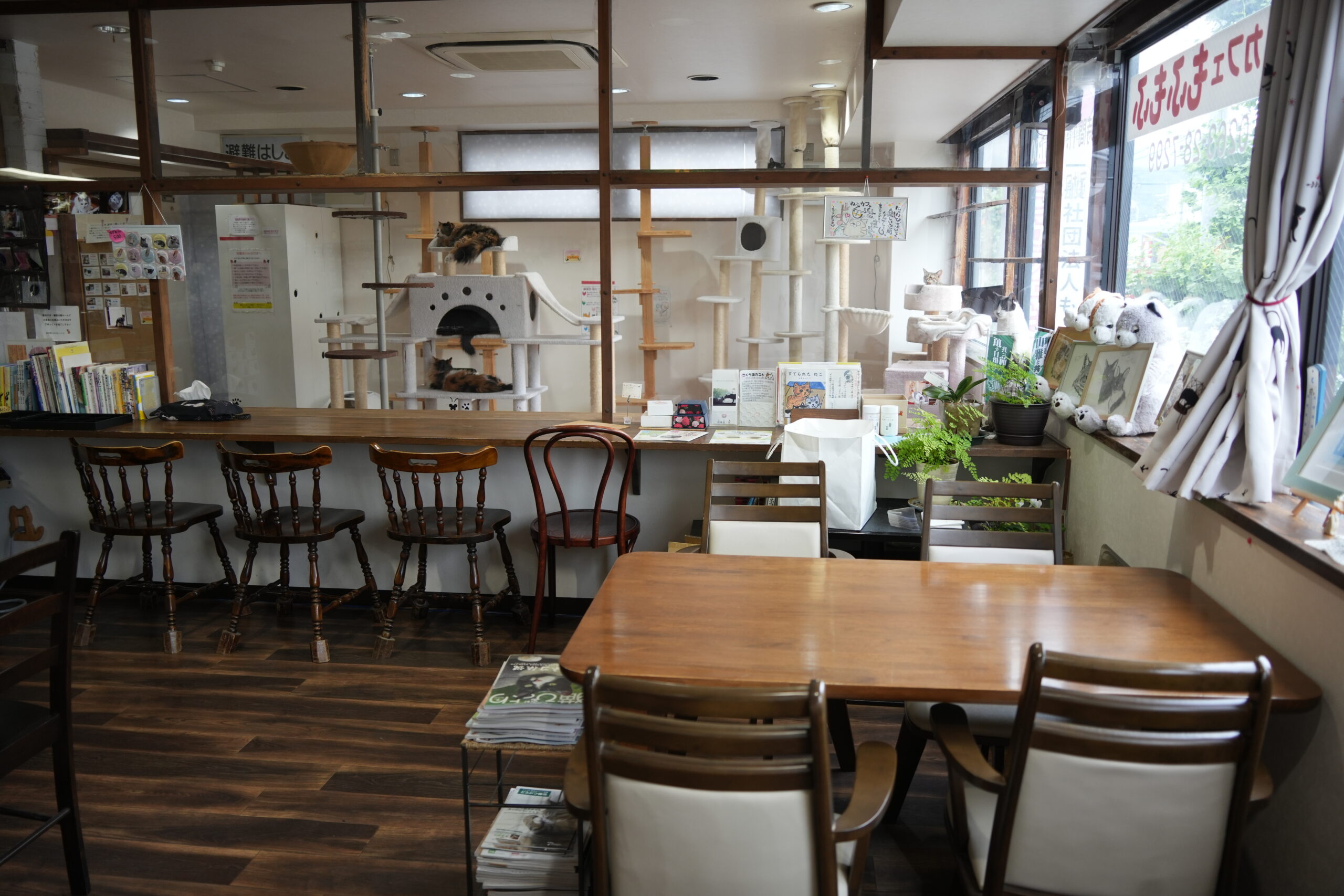 cafe2